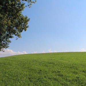 EtzelWanderung 2020