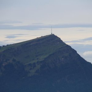 Die Königin