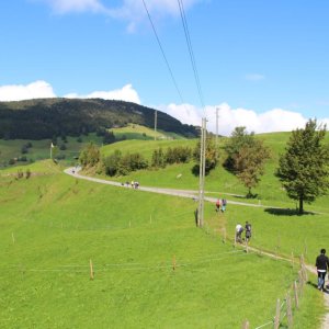 Jubiläumswanderung 2014