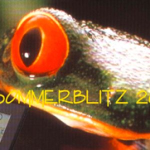 Sommerblitz 2012