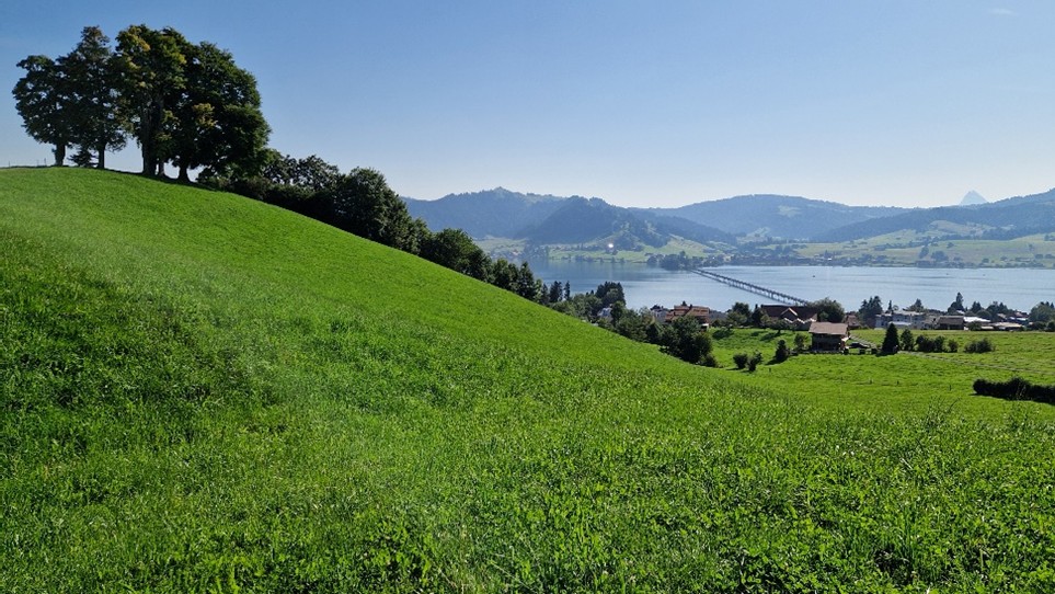 Bild1